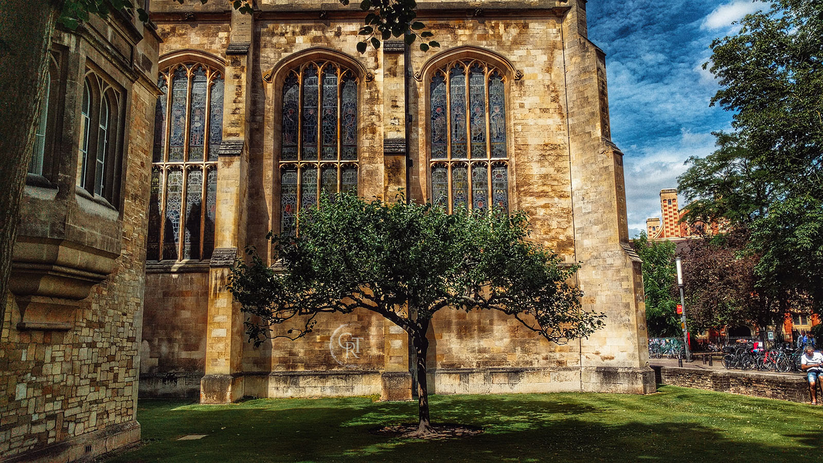 Isaac Newton's apple tree