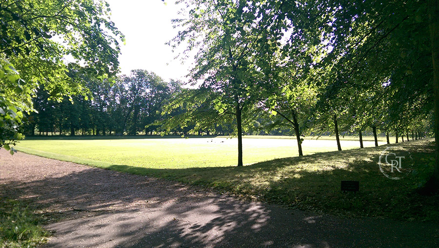 Trinity lawn