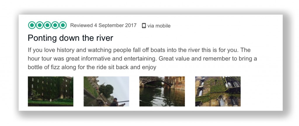Trip Advisor Review 1